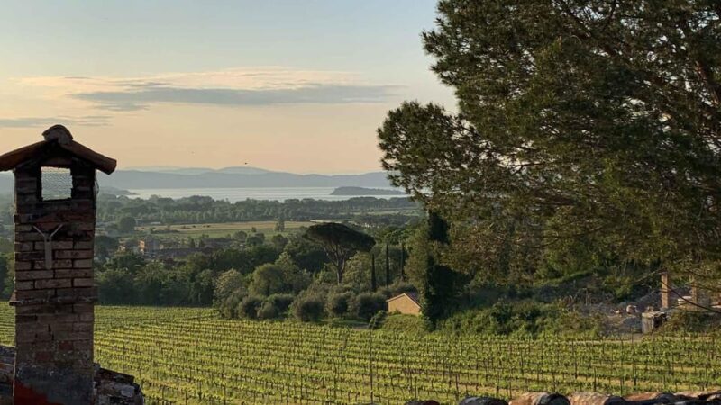 Trasimeno: Discovering Montemelino Wine Experience - Final Thoughts