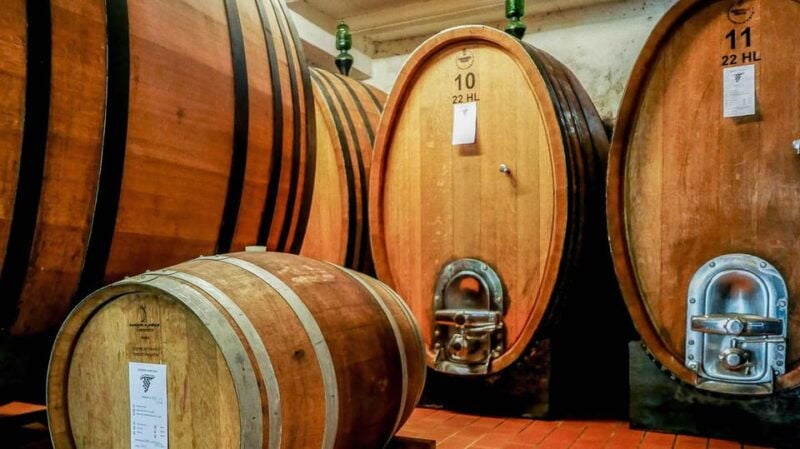 Trasimeno: Light Lunch, Oil, And Wine Experience - Good To Know