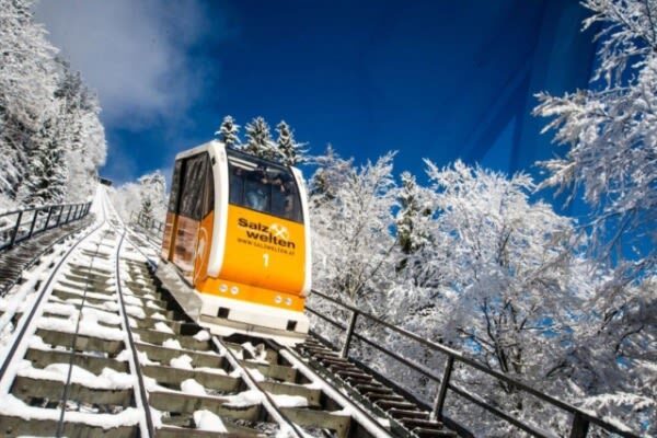 Traunsee Lake Cruise, Hallstatt and Salzburg Day Trip from Vienna - Who should book this day trip?
