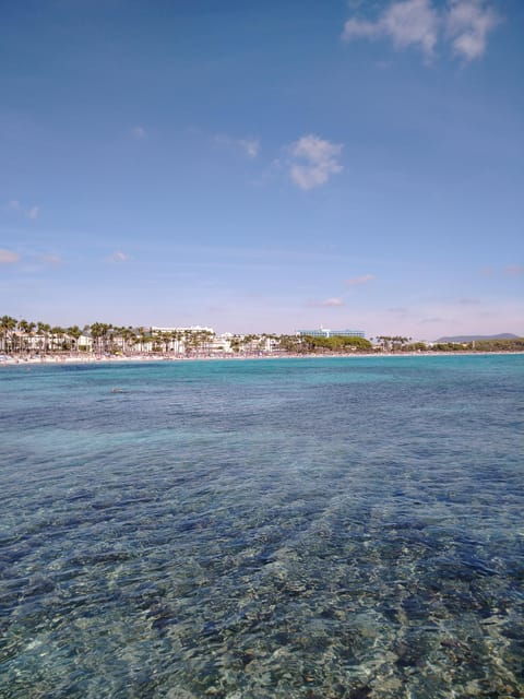 Travel and Play Tennis in Mallorca - Experience the Rafa Nadal Academy