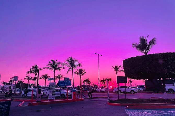 Travel from Guadalajara to Puerto vallarta shopping mall galleries - Introduction