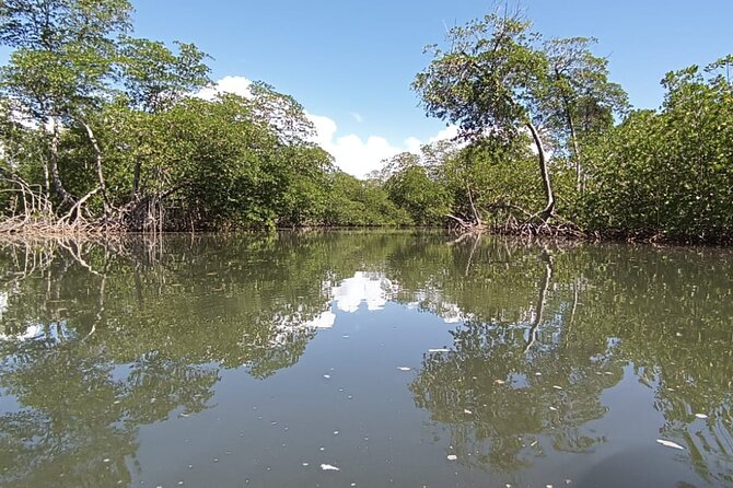 Travel Los Haitices National Park - Cultural Experiences and Heritage