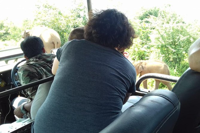 Travel to Ella From Galle With Udawalawe National Park Safari on the Way - Lowest Price Guarantee