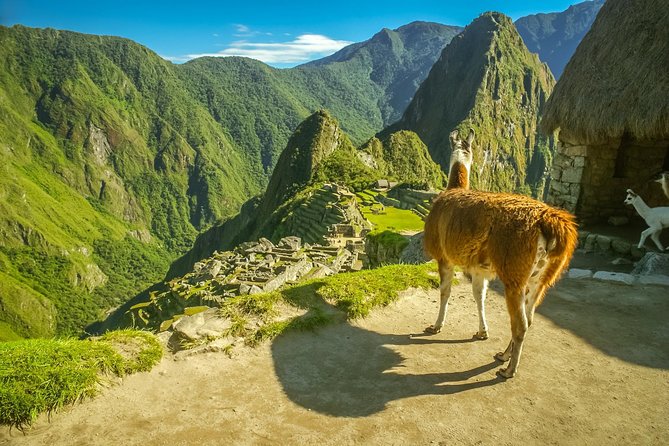 Travel to Machu Picchu - History of Machu Picchu