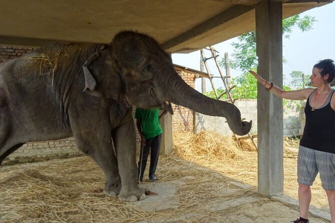 Travel to Nepal 10 days to explore the Culture and Best Views - Exploring Nepal: A Detailed Review of the 10-Day Tour