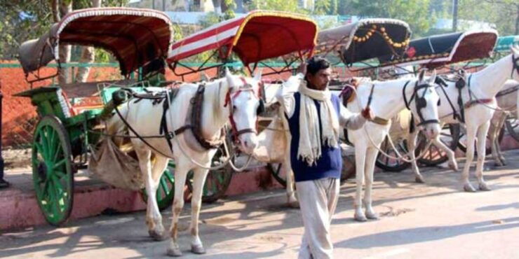 Travel to Taj Mahal From Delhi - Tour Details