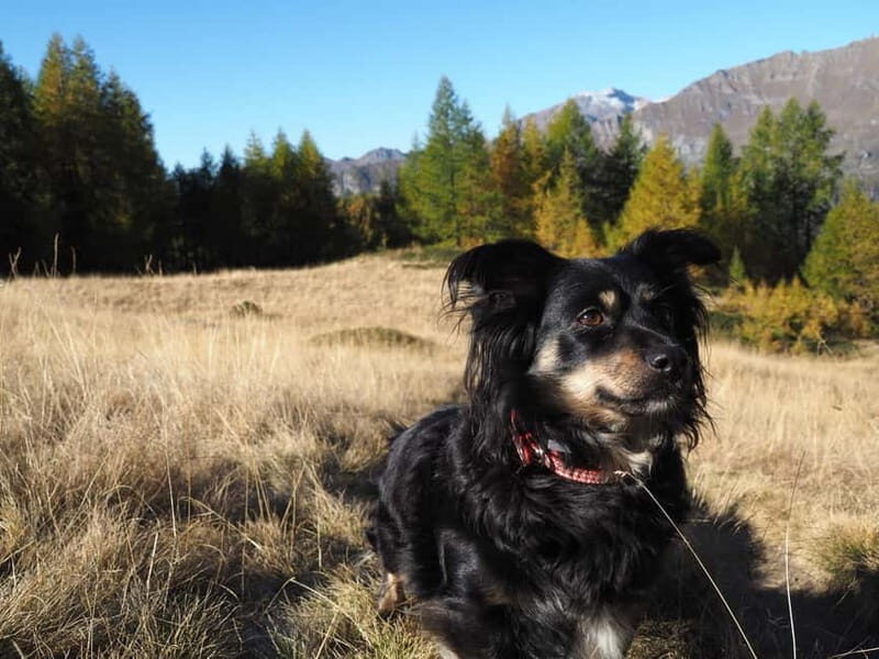 Travel with photography: customizable photo shoot - Practical Details and Tips