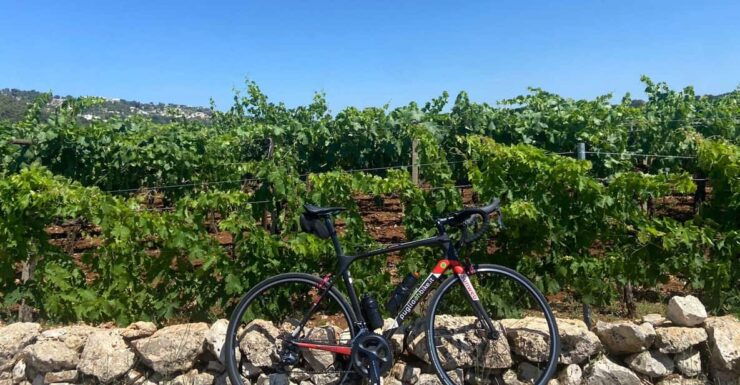 Traveling the Valle D'itria With Professional Bikes - Good To Know