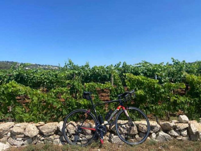 Traveling the Valle D'itria With Professional Bikes - Renting High-Level Bikes
