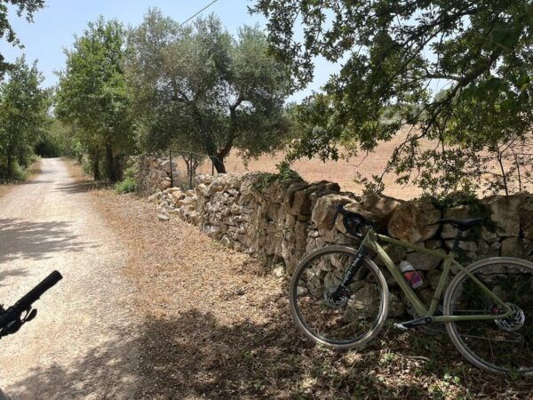 Traveling the Valle D'itria With Professional Bikes - Booking and Pricing Details