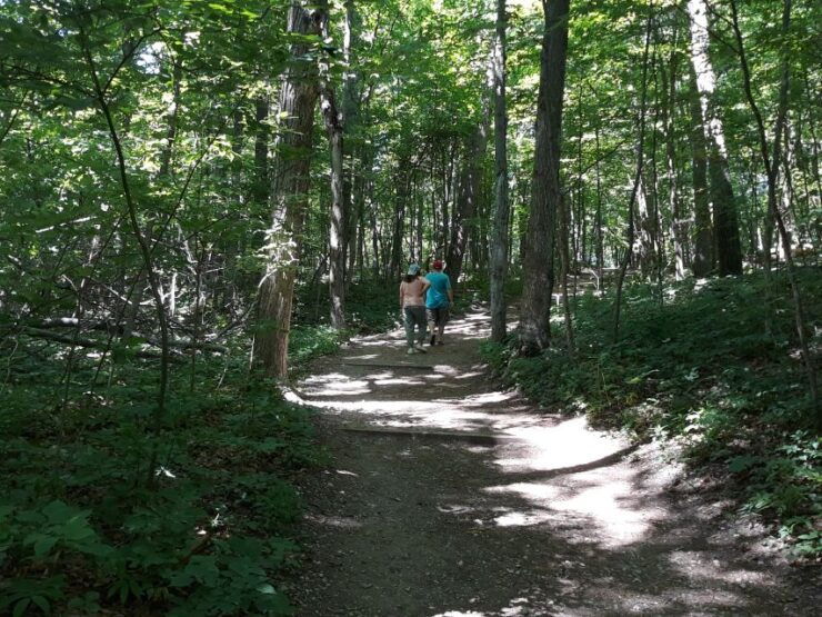Traverse City: 6-Hour Tour of Sleeping Bear Dunes - Activity Details