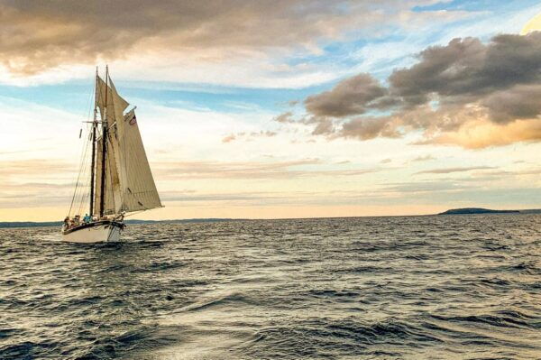 Traverse City: Evening Sail With Local Anishinaabe Guide - Contact Information