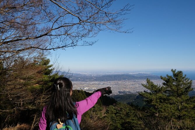 Traverse Outer Rim of Hakone Caldera and Enjoy Onsen Hiking Tour - Inclusions and Exclusions