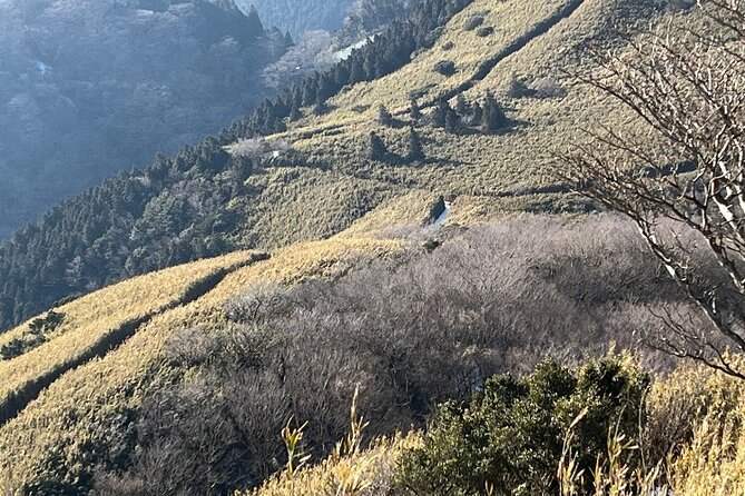 Traverse Outer Rim of Hakone Caldera and Enjoy Onsen Hiking Tour - Additional Tour Information