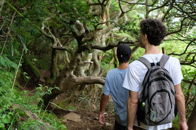 Traverse Outer Rim of Hakone Caldera and Enjoy Onsen Hiking Tour - Group Size and Booking