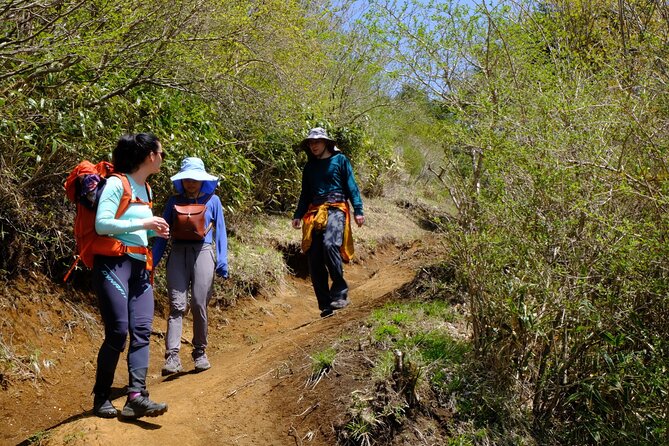 Traverse Outer Rim of Hakone Caldera and Enjoy Onsen Hiking Tour - Cancellation Policy