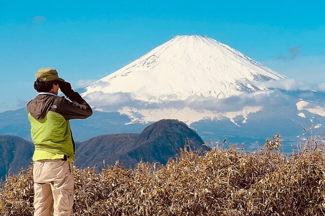 Traverse Outer Rim of Hakone Caldera and Enjoy Onsen Hiking Tour - Pricing and Reviews