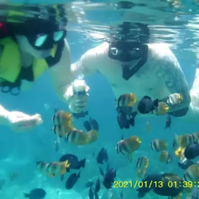 Trawling Fishing, Snorkeling & Candidasa Hidden Activities - Trawling Fishing Experience
