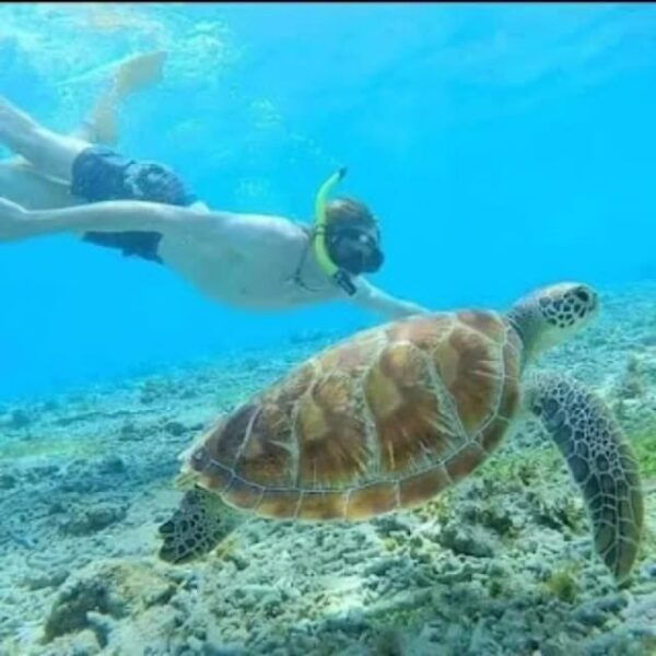 Trawling Fishing, Snorkeling & Candidasa Hidden Activities - Important Safety Information
