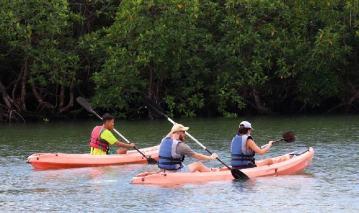 Treasure Bay Bintan Island Resort: 1-Day Entry Ticket - Ticket Details