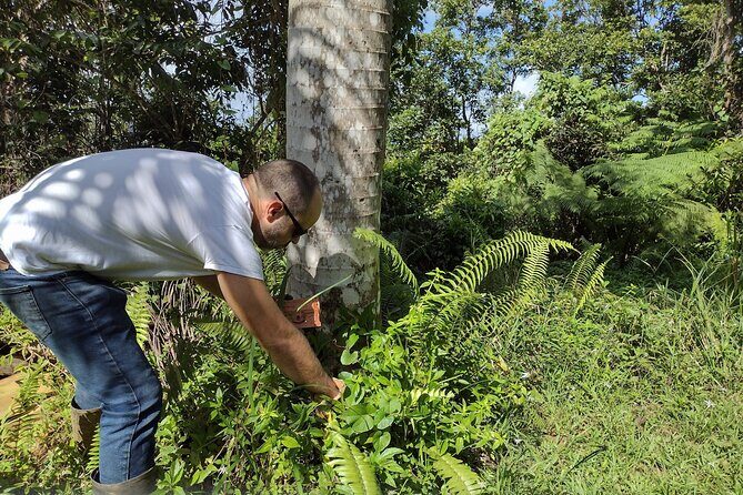 Treasure Hunt Adventure Hike and Discover Your Own Treasure - Discover the Hidden Joy of Puerto Rico with the Treasure Hunt Adventure Hike