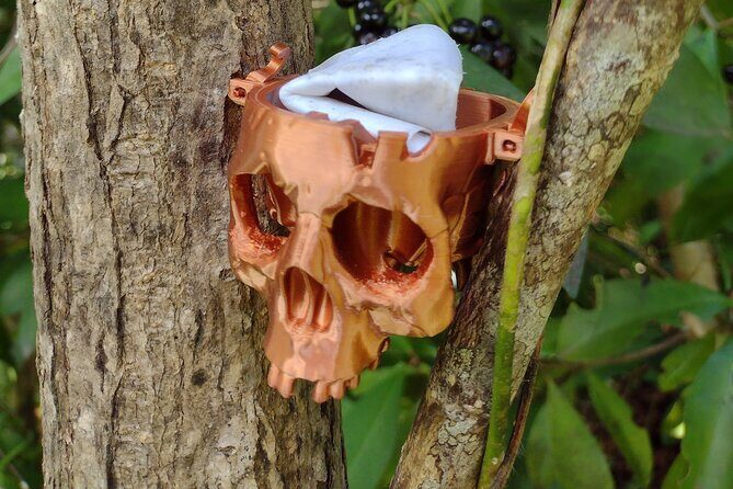 Treasure Hunt Adventure Hike and Discover Your Own Treasure - An In-Depth Look at the Treasure Hunt Adventure Hike