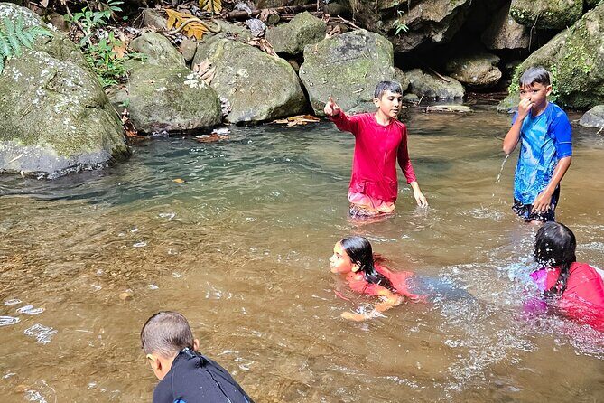 Treasure Hunt Adventure Hike and Discover Your Own Treasure - FAQ