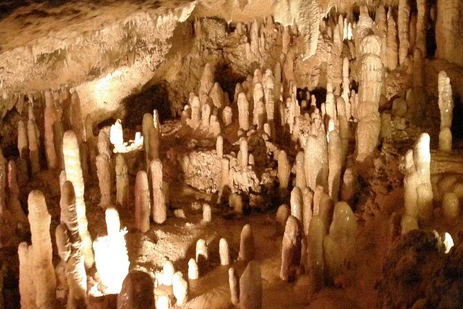 Treasures of Barbados Cave and Plantation Sightseeing Tour - Treasures of Barbados Cave and Plantation Sightseeing Tour: An In-Depth Review