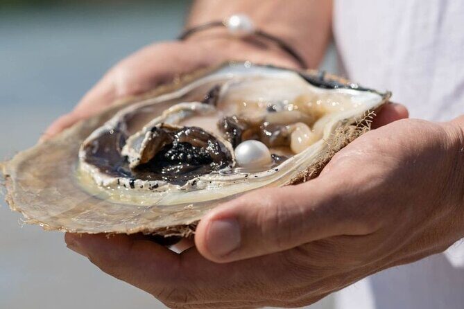 Treasures of Broome Tour - In-Depth Look at the Itinerary