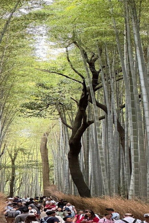 Treasures of Kyoto: Gion & historical Walking Tour - FAQ