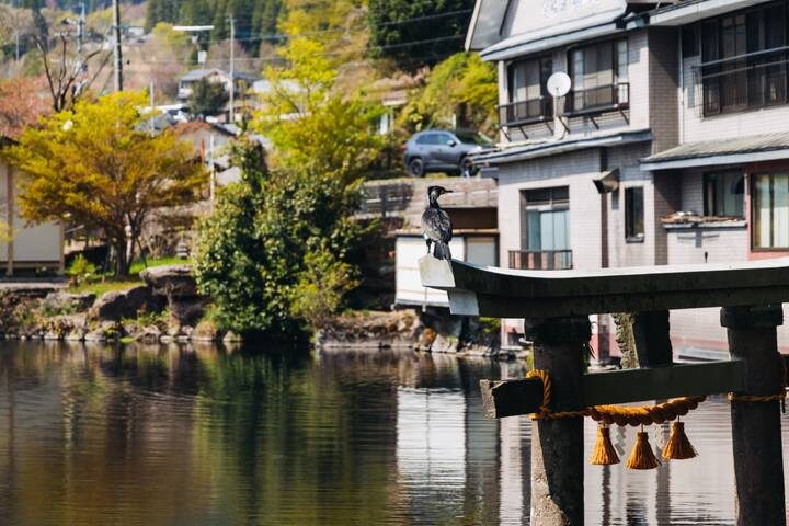 Treasures of Kyushu 7-Day Tour by Europamundo (2026 Departures) - Day 3: Dazaifu, then Nagasaki’s difficult history