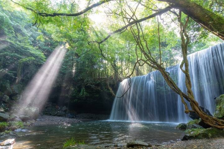 Treasures of Kyushu 7-Day Tour by Europamundo (2026 Departures) - Day 6: Usa Jingu, then back to Fukuoka
