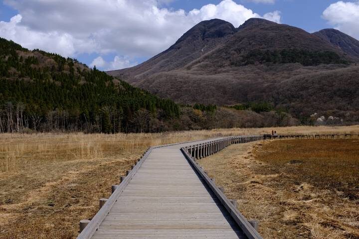 Treasures of Kyushu 7-Day Tour by Europamundo - Who should book this Kyushu tour?