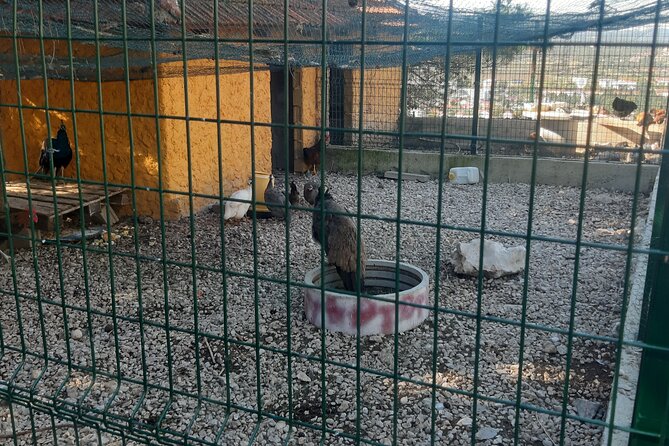 Trebinje Gastro Tour From Dubrovnik - Local Wine Tasting