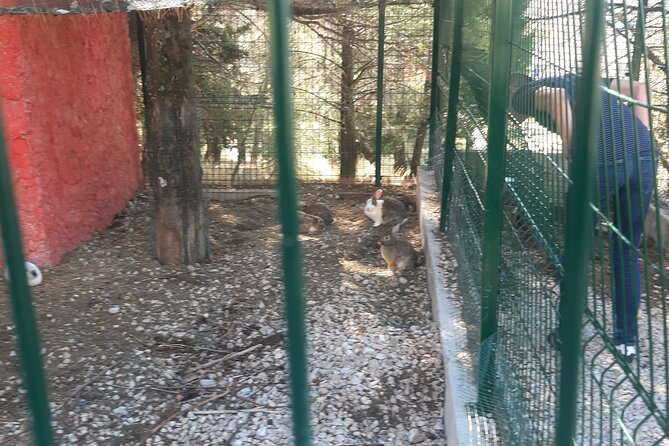 Trebinje Gastro Tour From Dubrovnik - Logistics and Booking