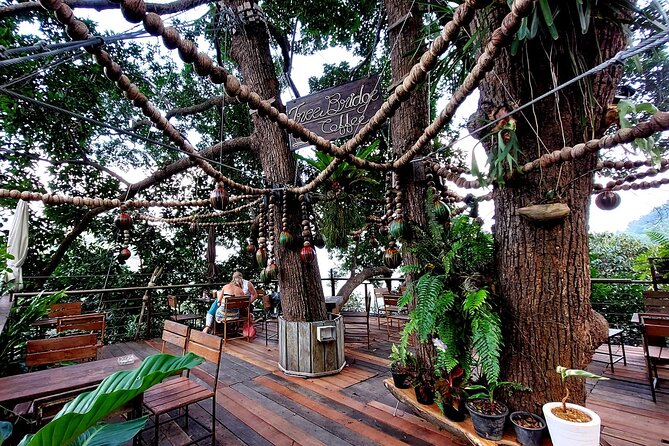 Tree Bridge Cafe And Zipline - Jungle Flight Adventure in Koh Samui - Overview of the Tree Bridge Cafe and Zipline Adventure