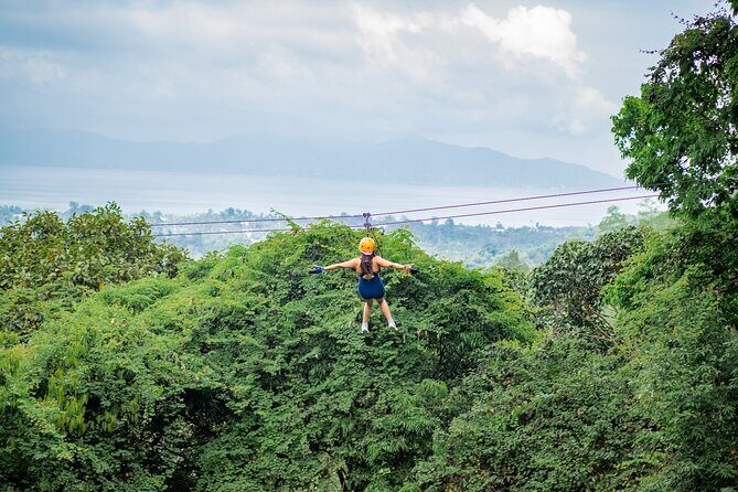 Tree Bridge Zipline Rainforest Canopy Experience from Koh Samui - Good To Know