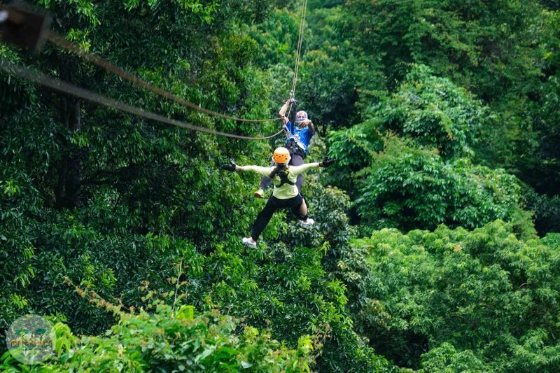 Tree Bridge Zipline Samui - How the course unfolds