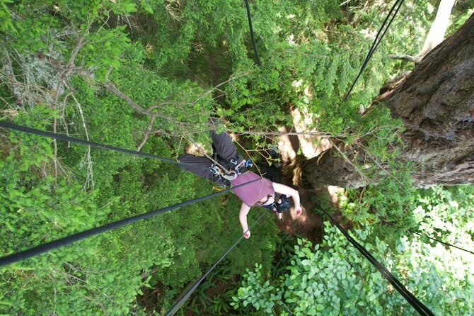 Tree Canopy Climbing on Lopez Island - Overview and Details