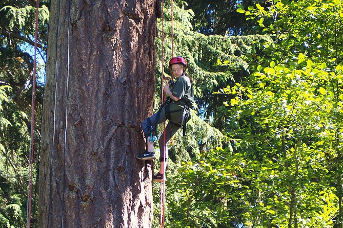 Tree Canopy Climbing on Lopez Island - Meeting Locations and Transportation