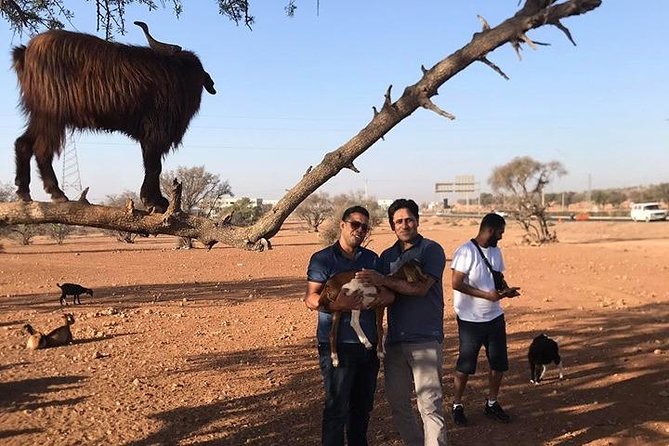 Tree-climbing Goats in Agadir - Transportation Details