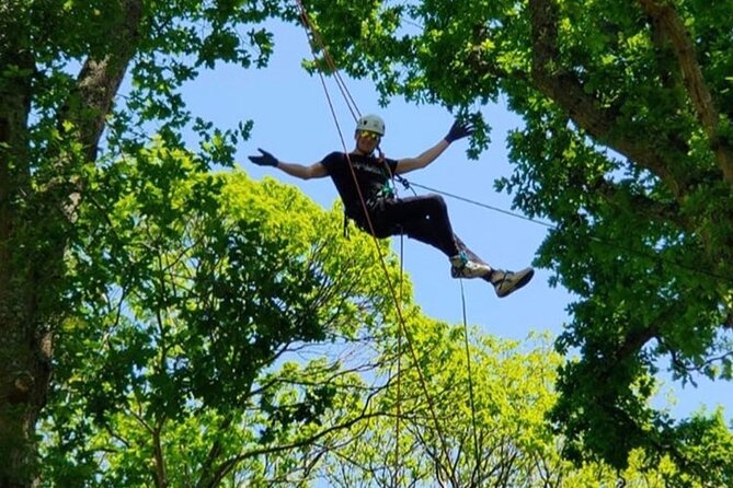 Tree Climbing Taster Session - Session Overview