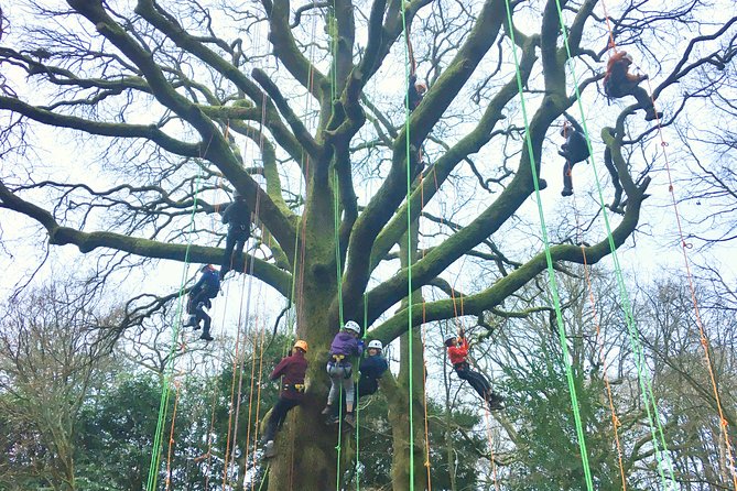 Tree Climbing Taster Session - Common Questions