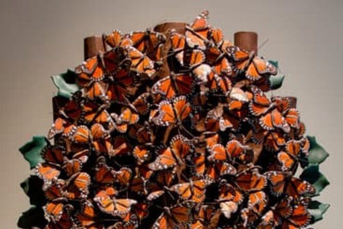 Tree of Life - Good To Know