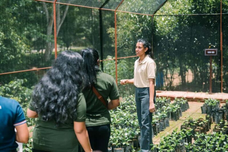 Tree of Life's Coffee Heritage Trail - In-Depth Look at the Coffee Heritage Trail