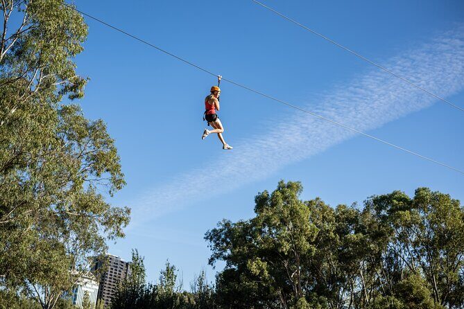 Tree Top Activity for Thrill Seekers and Adventurers in Adelaide - Good To Know