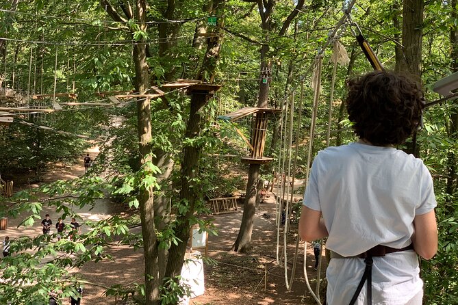 Tree Top Adventure in Forest of Meudon - Overview of Tree Top Adventure