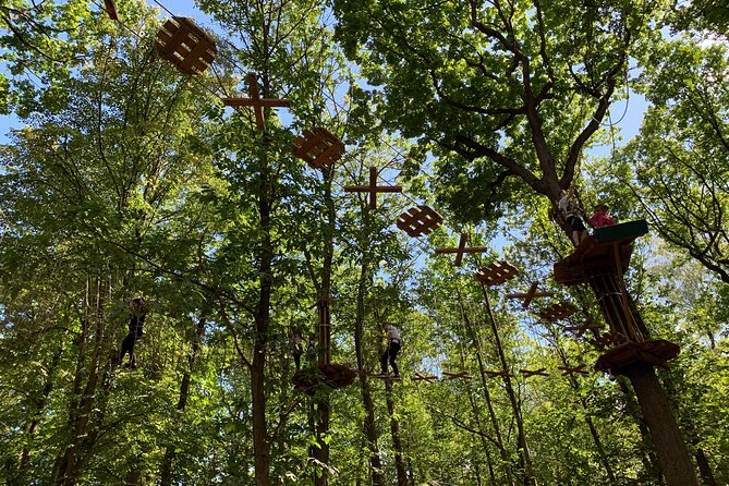 Tree Top Adventure in Forest of Meudon - What to Expect During the Adventure