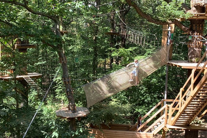 Tree Top Adventure in Forest of Meudon - Additional Information for Participants