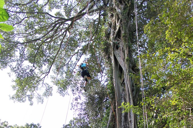Tree Top Climbing Monteverde - Health Requirements
